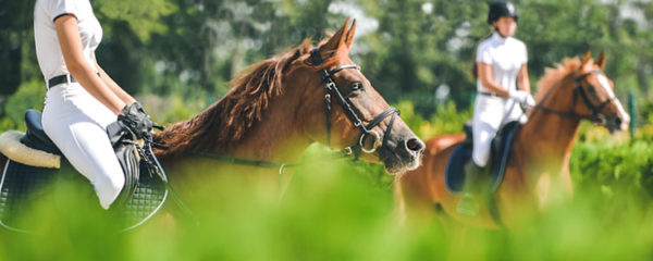 Equi-coaching