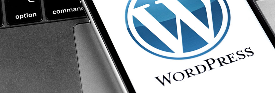 Formation wordpress